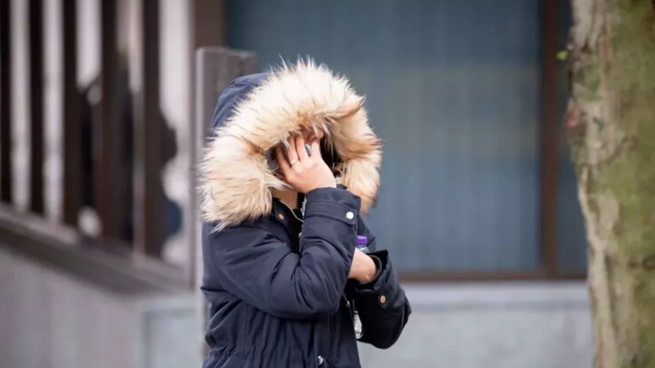She claimed £56,000 in Universal Credit from DWP